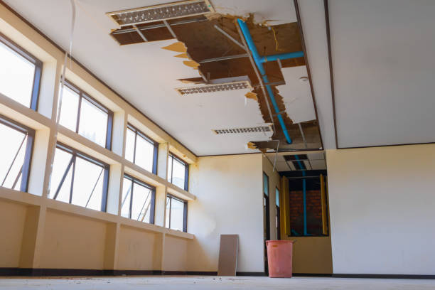 Best Commercial water damage restoration  in Ozark, AL