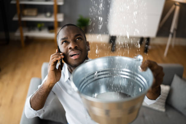 Best Sewage cleanup and water damage restoration  in Ozark, AL