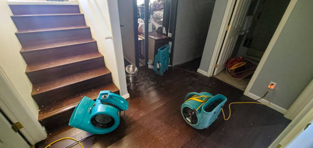 Best Basement water damage restoration  in Ozark, AL