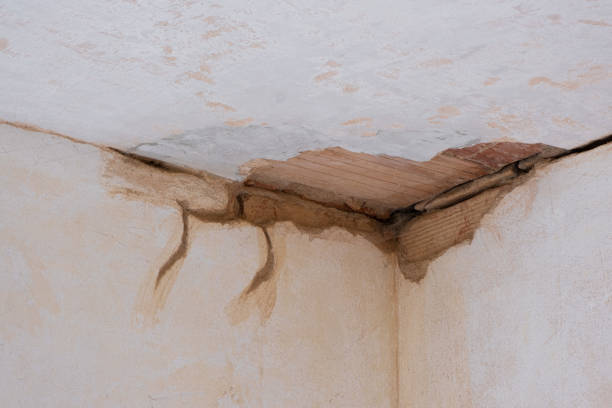 Best Water damage cleanup near me  in Ozark, AL