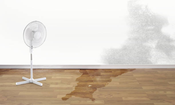 Best 24/7 water damage repair  in Ozark, AL