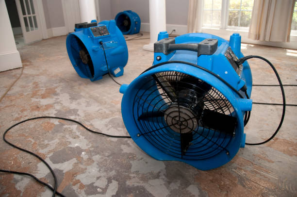 Best Water damage contractors near me  in Ozark, AL
