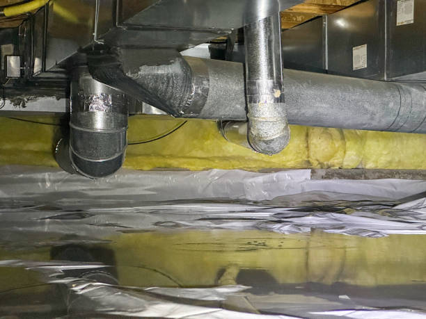 Best Water damage restoration services  in Ozark, AL